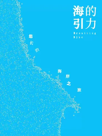 开启心灵“冰美式”！海的引力带你逃离疲惫