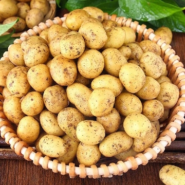 被我挖到！土豆在日常中的隐藏 “宝藏” 用法