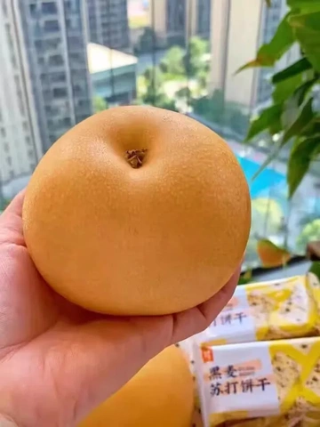 嗯？这一口清甜多汁你能不爱了！！