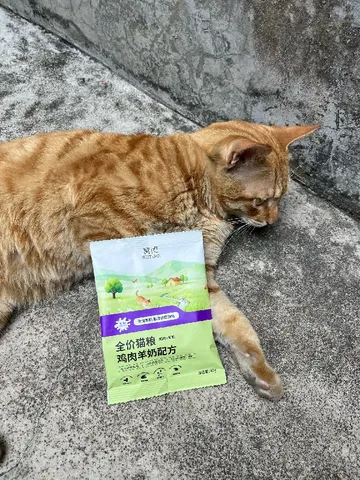新客必试！给猫咪的营养焕新“大餐”🥣