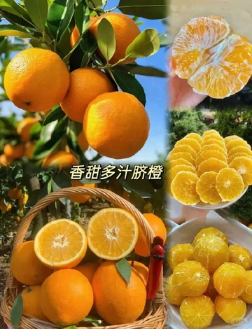 水果控必入！这赣南脐橙太绝了！
