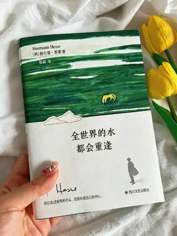 🌟灵魂疲惫的大人们！都去读黑塞！！！