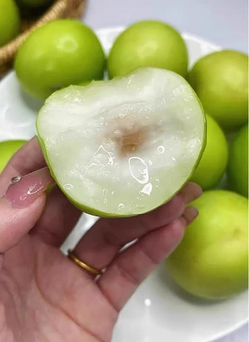 快看看啊...谁还没吃上脆甜多汁的牛奶枣❓