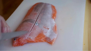 良心安利！宠物鲜食宝藏测评