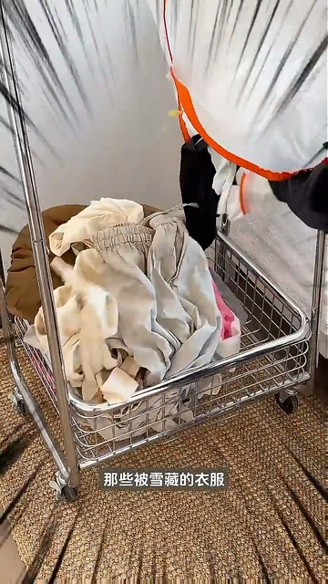 衣物护理秘籍 | 探寻高效熨烫奥秘