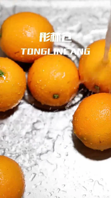 云南哀牢山冰糖橙，这些隐藏惊喜被我挖出来啦！