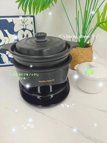 养生必备！摩飞富硒电炖锅，一锅搞定多样滋补