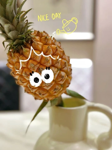 实现菠萝自由的㊙️笈！水培菠萝超有趣！