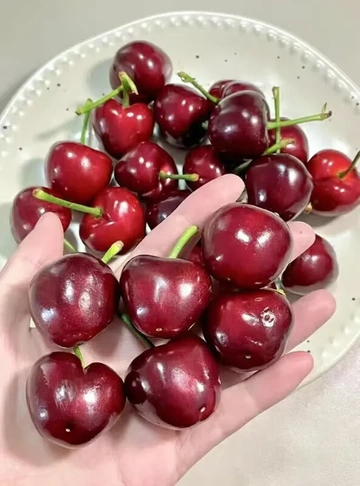 车厘子自由这不就来了！静羽智利车厘子闭眼冲🙋‍♀
