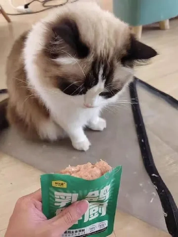 持证上岗成功！毛孩子疯狂爱上的猫零食！