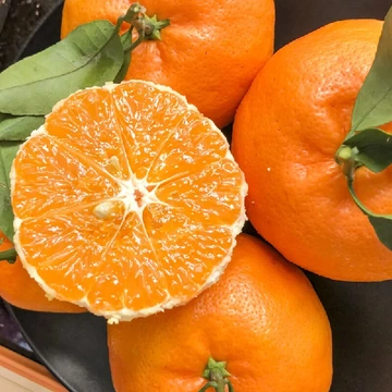 柑橘控馋虫作祟？明日见阿斯蜜来“救场”啦！