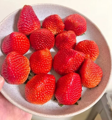 垮脸甜食脑袋必备！百元内草莓界“抗垮”选手申请出战！