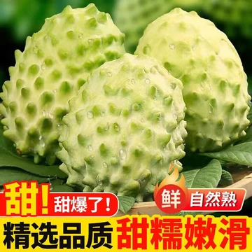 粤迎牛奶凤梨释迦果【产地直发】广西新鲜现摘新鲜冰淇淋释迦牟尼水果 3斤精选果【香甜软糯】净2.5斤