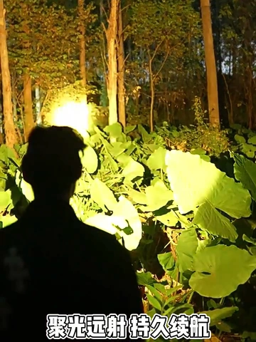 夜钓赶海不再愁！不摸黑的都别点！
