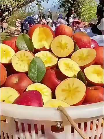终于找到一款全能的苹果！！🍎