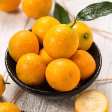 谁收到都夸！这水果礼盒也太太太赞了叭！🍊