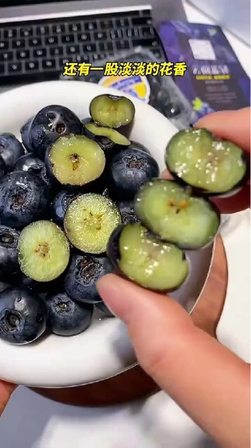 水果控集合！这蓝莓让你实现蓝莓自由！