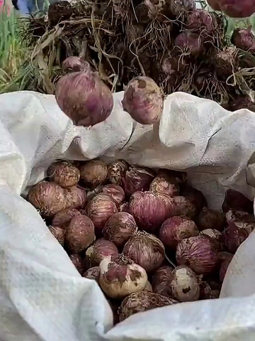 越来越爱 | 调味你永远可以相信它