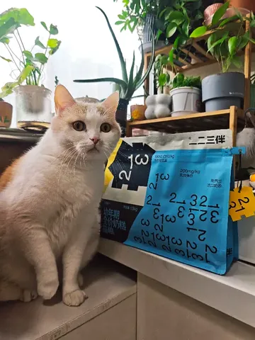 40% 粗蛋白！猫咪吃了发腮爆毛！