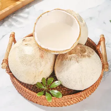 打工人水果指南 | 热带风味椰皇，性价比之选！
