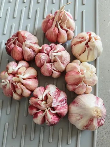 爱吃蒜的宝子快冲！这蒜绝了😭