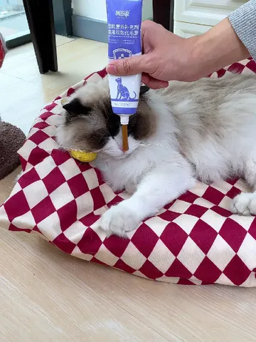 猫咪化毛神器上大分！铲屎官必入宝藏好物！！