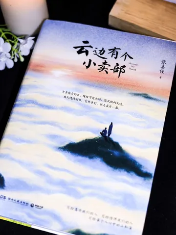 合上书哭了半小时：这本让成年人破防的小说，藏着最戳心的温柔