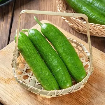 生鲜桌面试官上线！谁能C位出道？