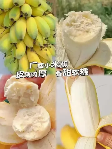 官宣✨ 哆嘻啦成为水果控的心头好！