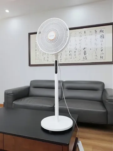 🌬️夏日清凉搭子招募中！一起畅享舒爽吧✨