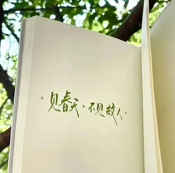 “ 青春是未命名的雨天 ”