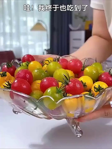 “水果控”福利：彩色小番茄让你实现美味营养自由！