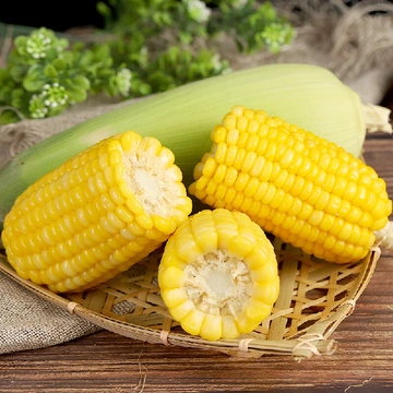 减脂期的梦中情“米”！香甜饱腹双在线